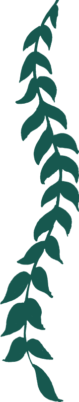 vine-image